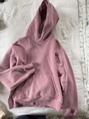 Aritzia TNA Cozy “Perfect Hoodie”
